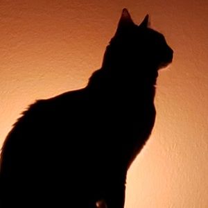 Meet your Posher, Jane